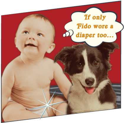 Fido